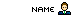 writer